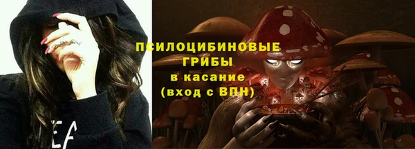 бошки Приозерск