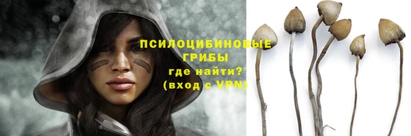 прущая мука Протвино