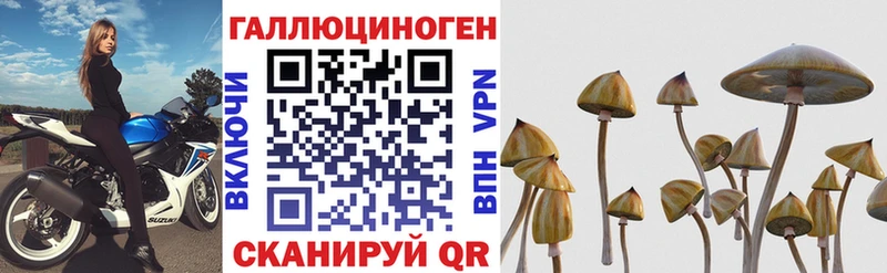 Псилоцибиновые грибы MAGIC MUSHROOMS  blacksprut tor  Тотьма 